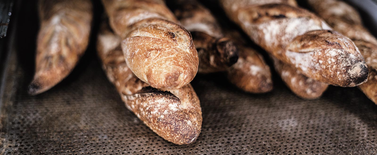 Grundkurs i hantverksbageri på Eldrimners bageri