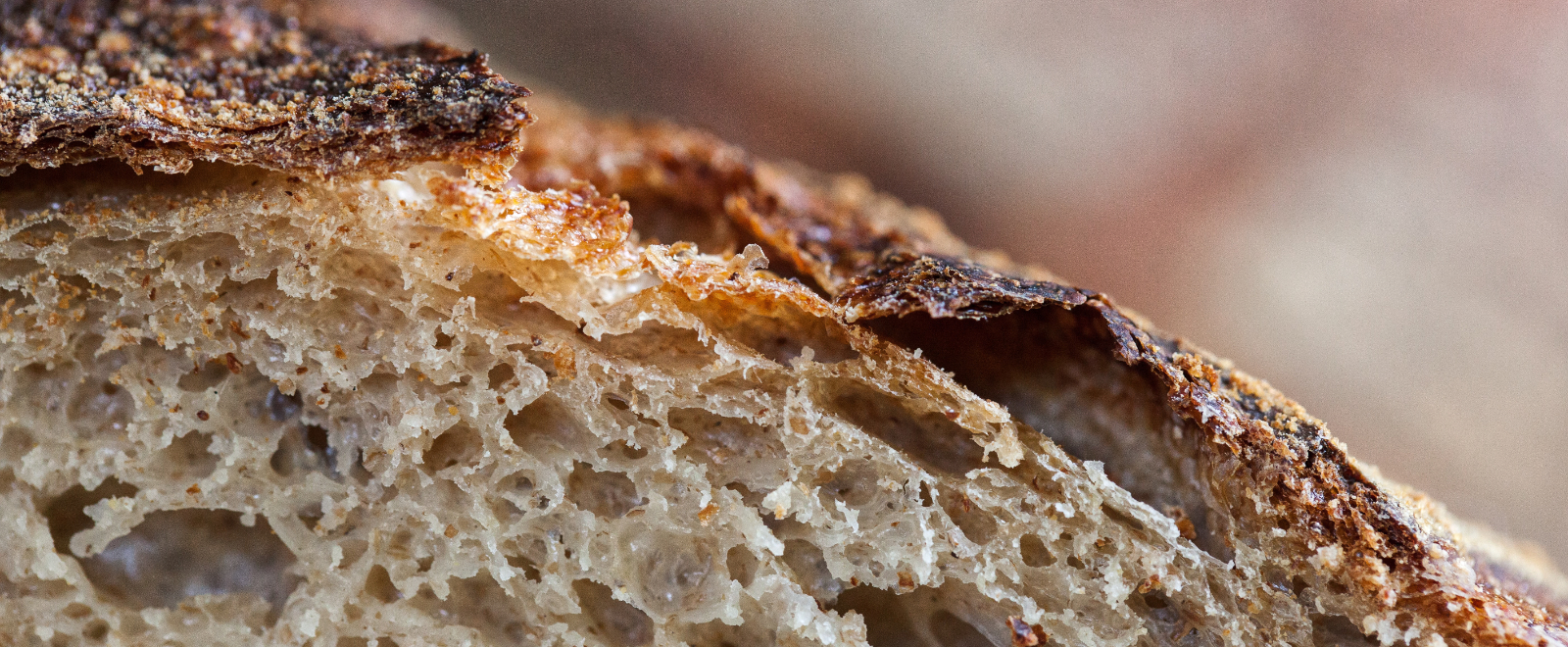 Grundkurs i surdegsbakning